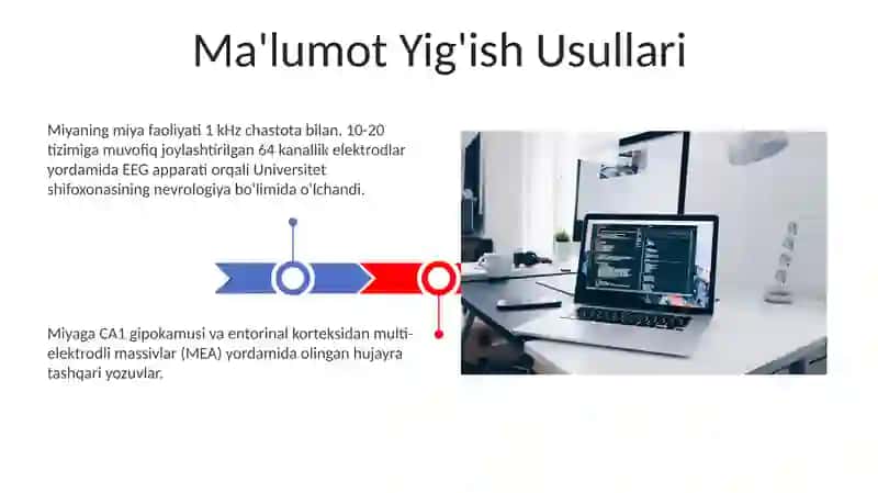 Miya po'stlog'ining elektr faolligi 3