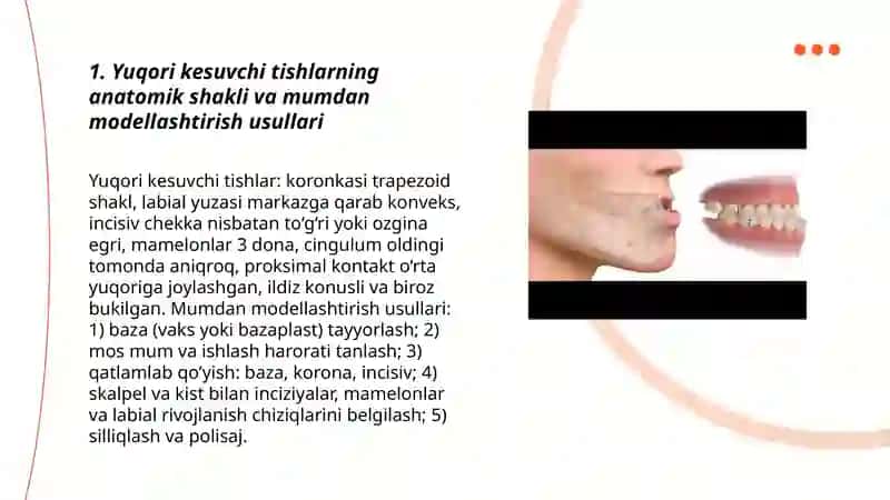 Yuqori va pastki jagʻ tishlarining anatomik shakllarini mumdan yasash(modellashtirish) 3