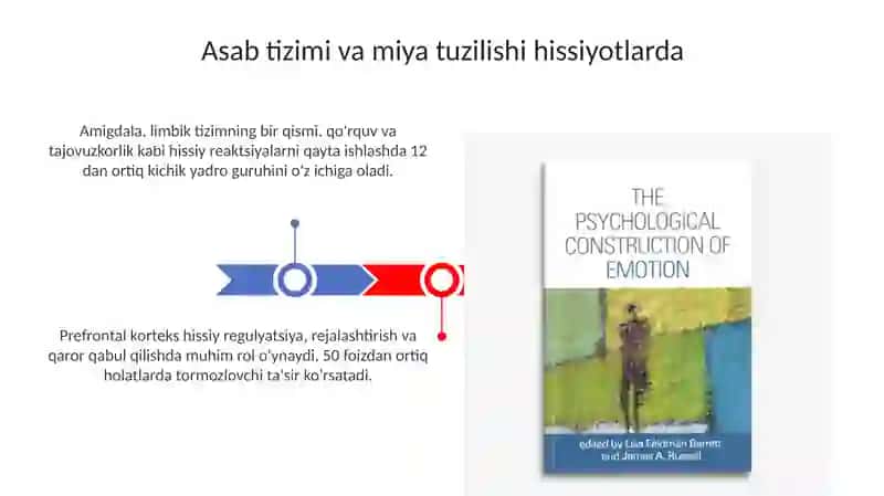 Hissiyot va emotsional holatlarning fiziologik asoslari 3