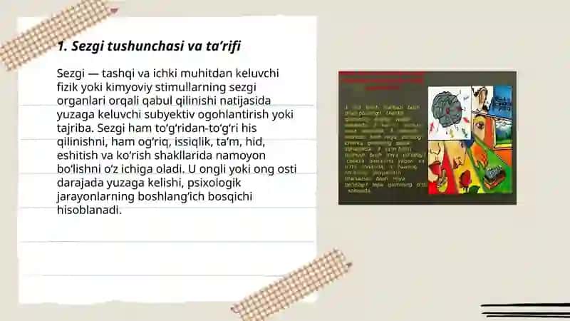 Sezgi haqida umumiy maʼlumotlar 3