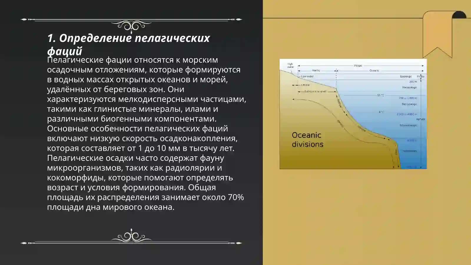 Определение пелагических фаций 3