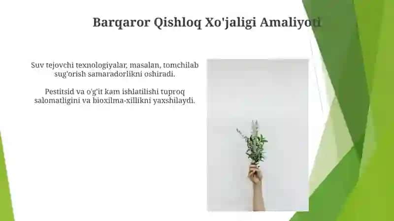 Barqaror Qishloq Xo'jaligi Amaliyoti 3