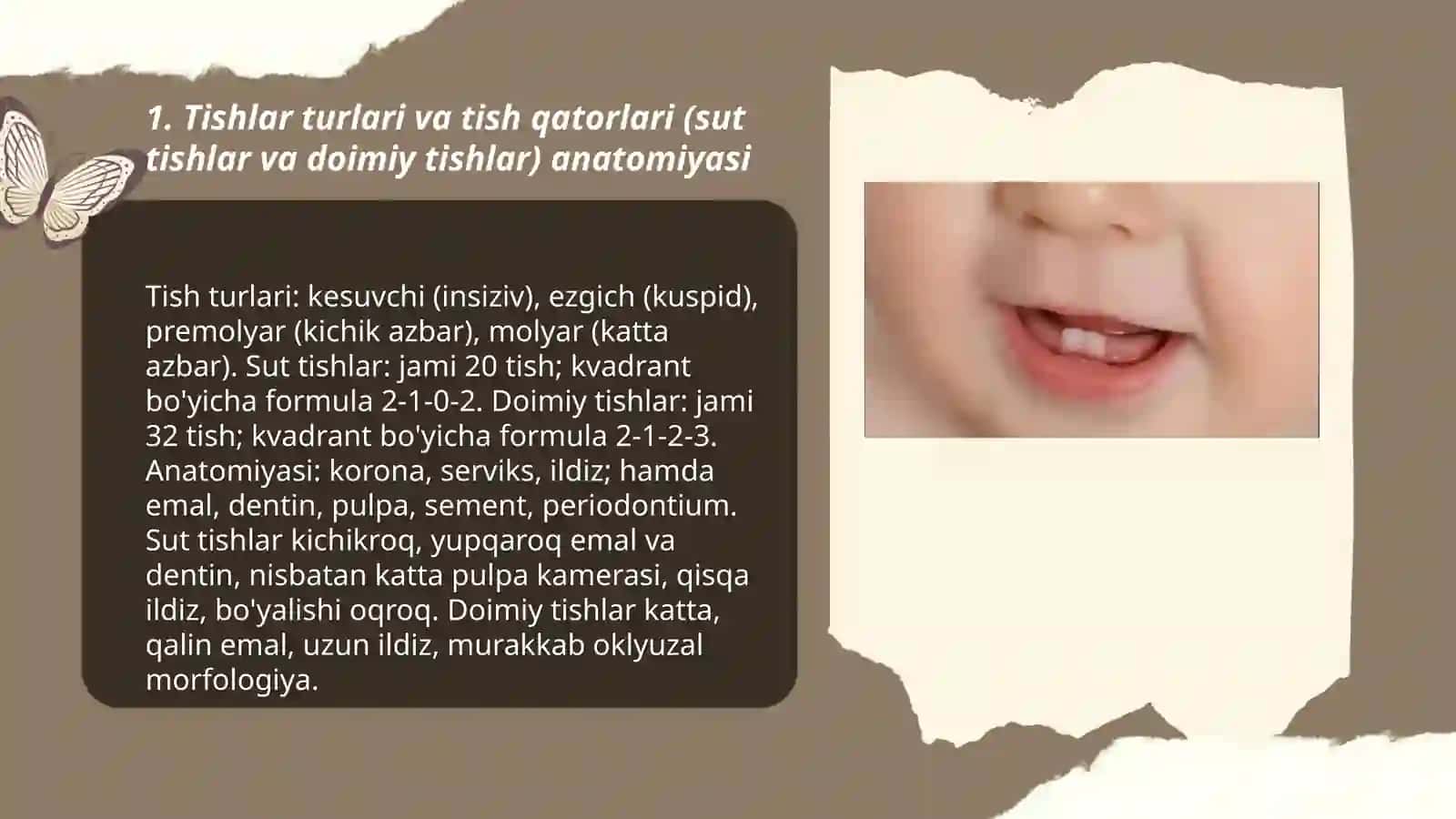 Tishlar turlari va tish qatorlari anatomiyasi 3