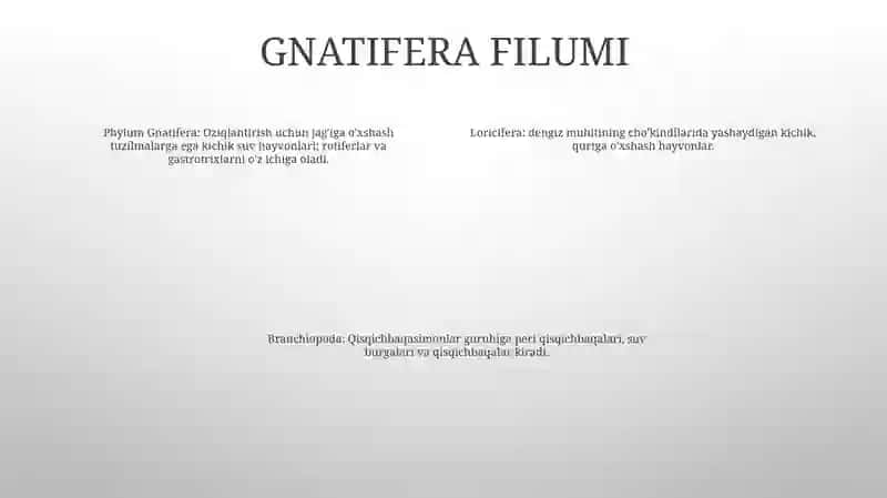 Gnatiferalar Katta Tipining Umumiy Tavsifi Va Xilma Xilligi Filogeniyasi.Siklioforalar.Kemptozoalar Tipining Umumiy Tavsifi Va Xilma Xilligi 3