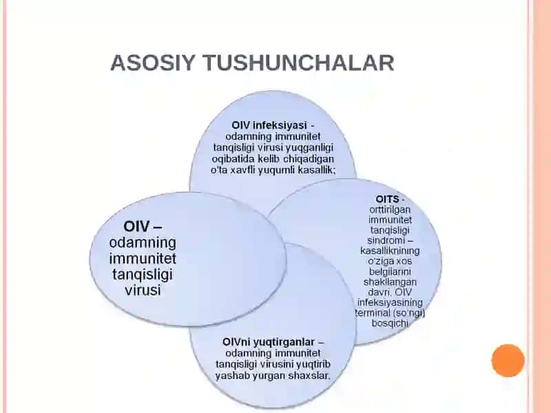 OIV/OITS 3