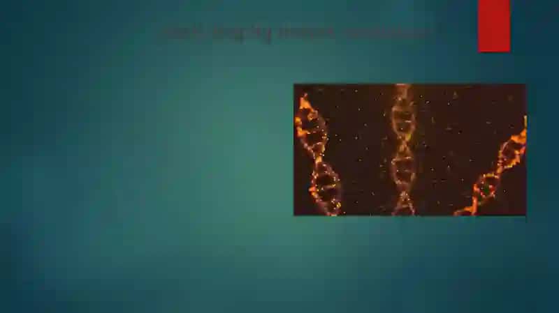 Irsiyat xromosoma nazariyasi 3