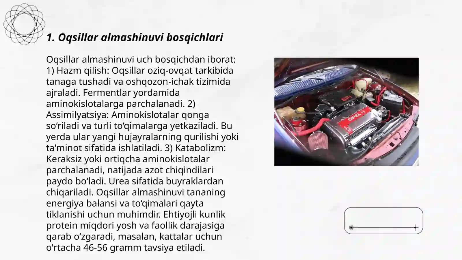 Oqsillar almashinuvi, hazimlanish, so'rilish 3