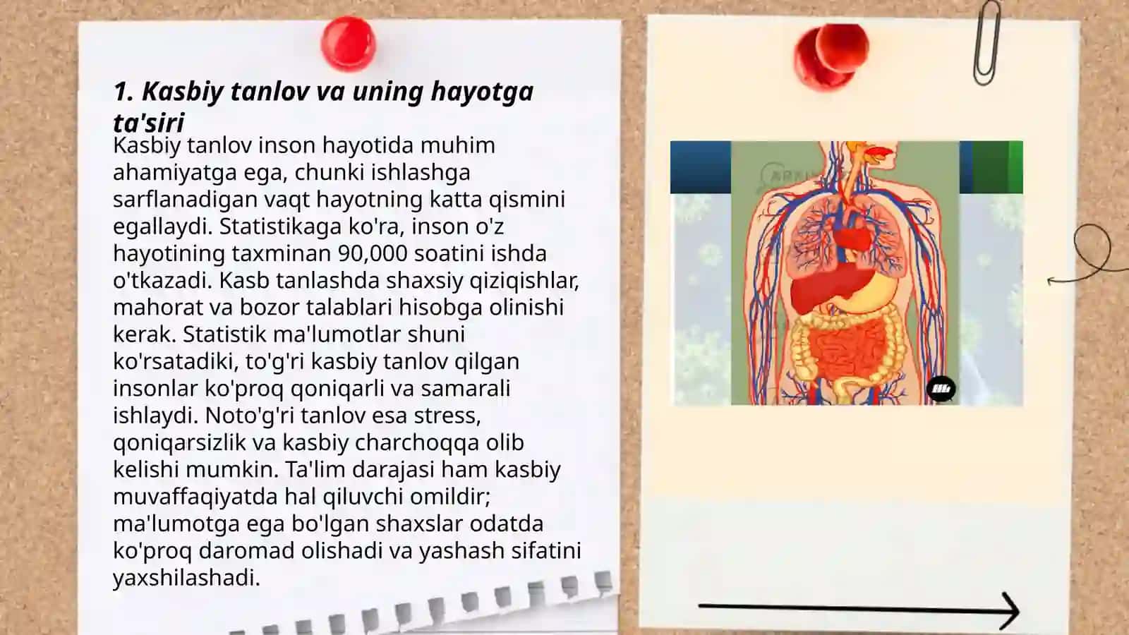 Kareraning inson hayotidagi oʻrni 3
