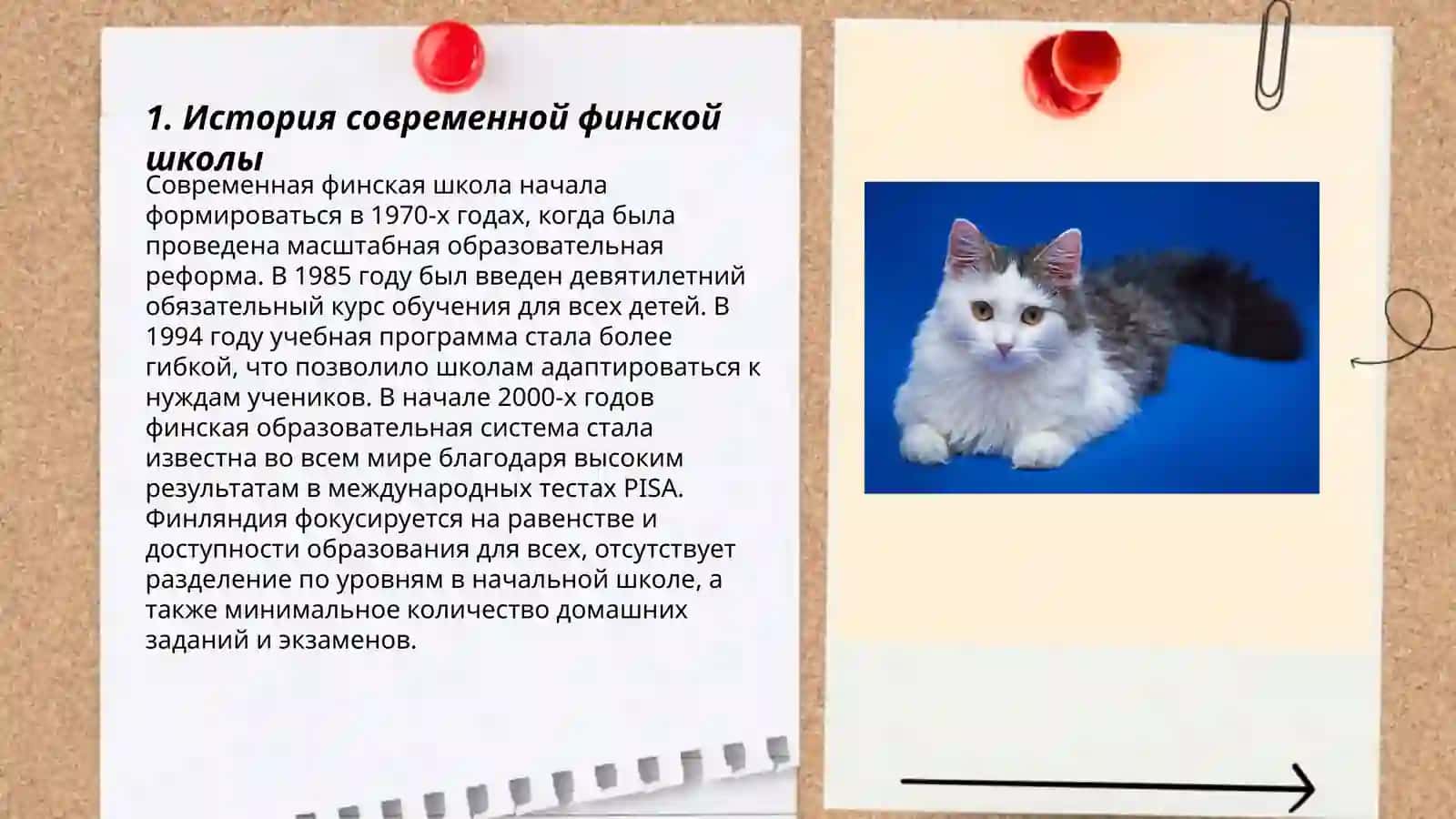 Современная финская школа 3