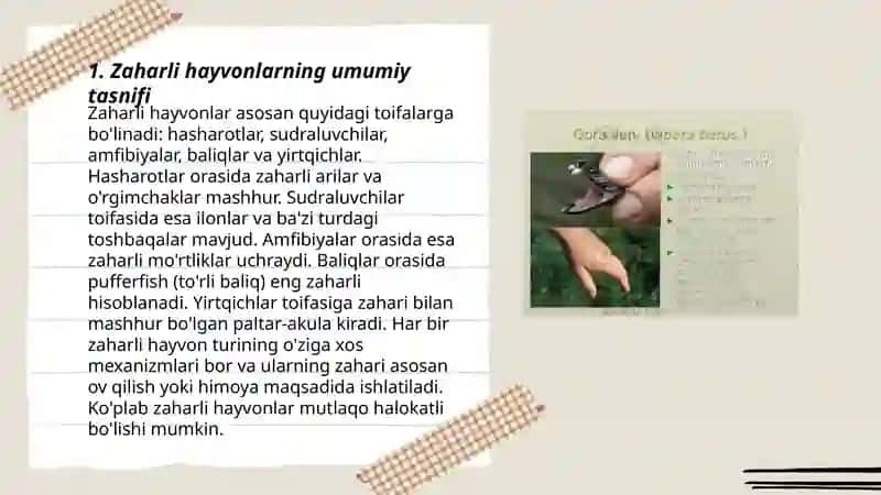 Zaharli hayvonlar sistematikasi 3