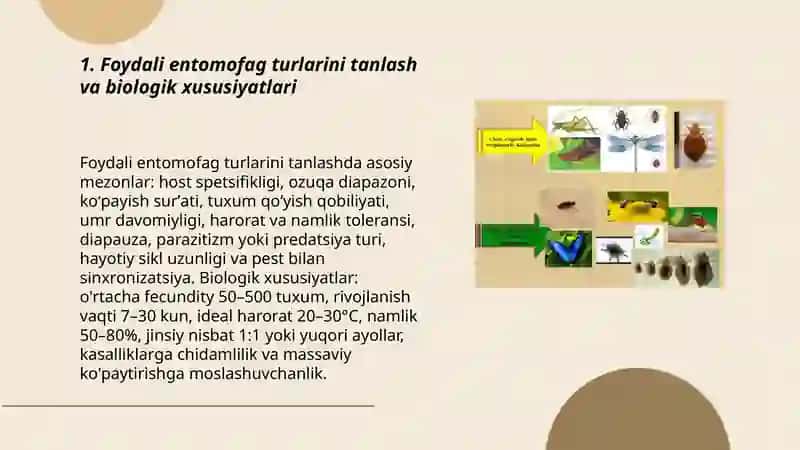 Hasharotlarni kupaytirishda foydali intomofaglarni kupaytirish texnalogiyasi 3