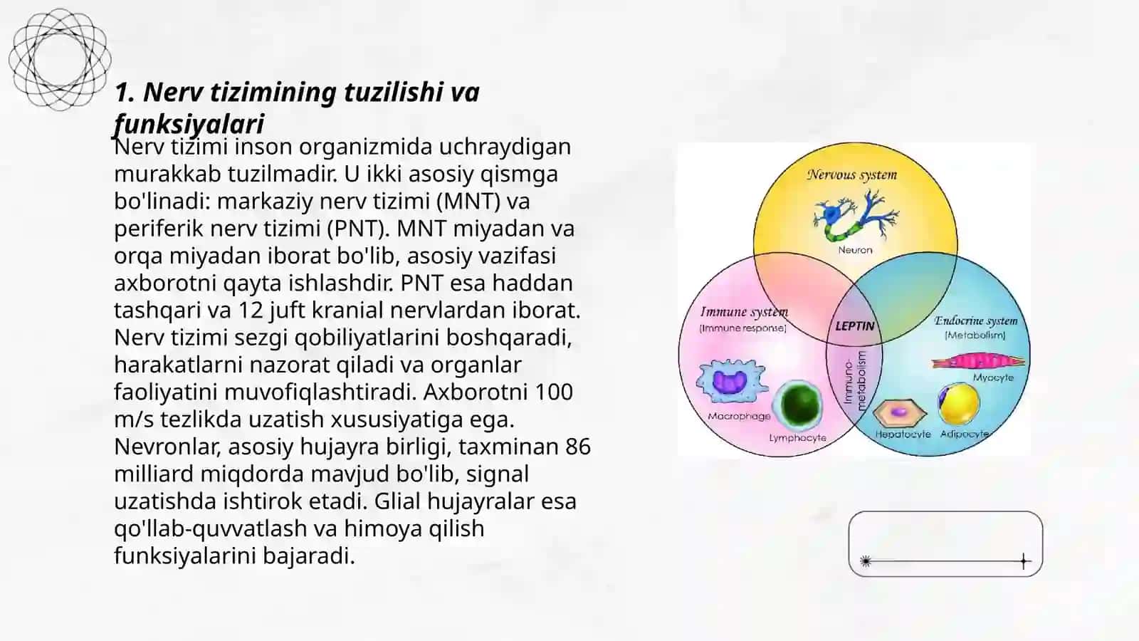 Organizmning nerv, immun-endokrin boshqariluvi 3