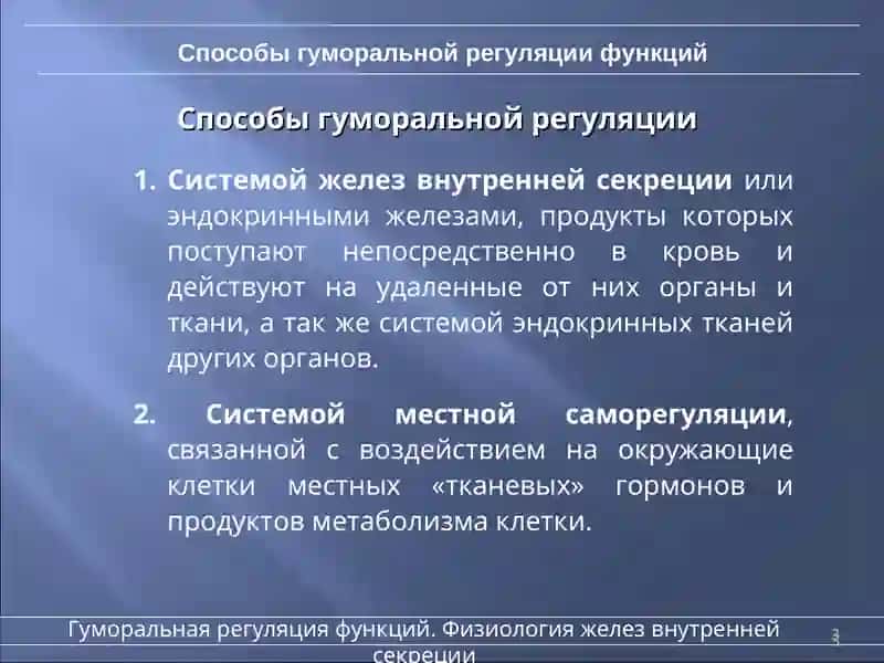Основы гуморальной регуляции функций 3