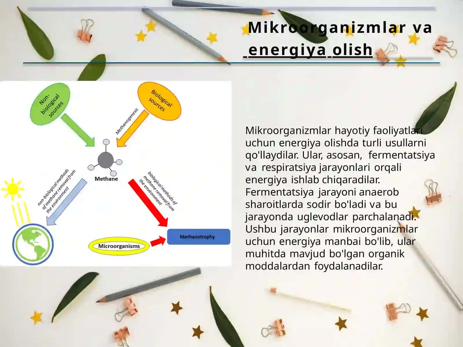 Mikroorganizmlar tomonidan energiya olish usullari. Hujayra energiyasining shakllari va hosil bo'lish usullari. Fermentatsiya (bijg'ish). Uglevodlarni fermentatsiya qilish yo'llari. Fermentatsiya turlari 3