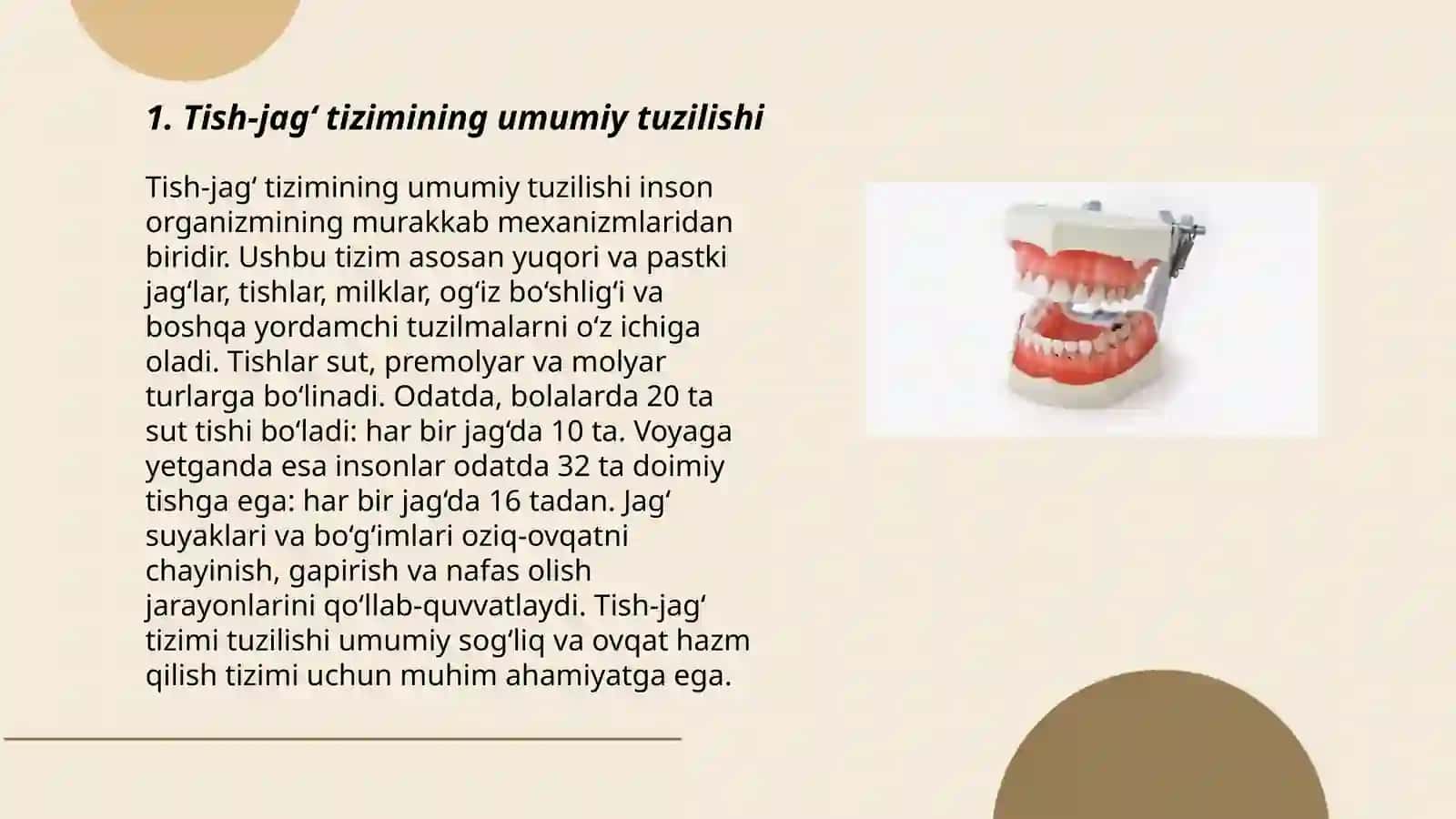 Protezlash ahamiyati bo‘lgan tish-jag‘ tizimining anatomo-fiziologik xususiyatlari 3
