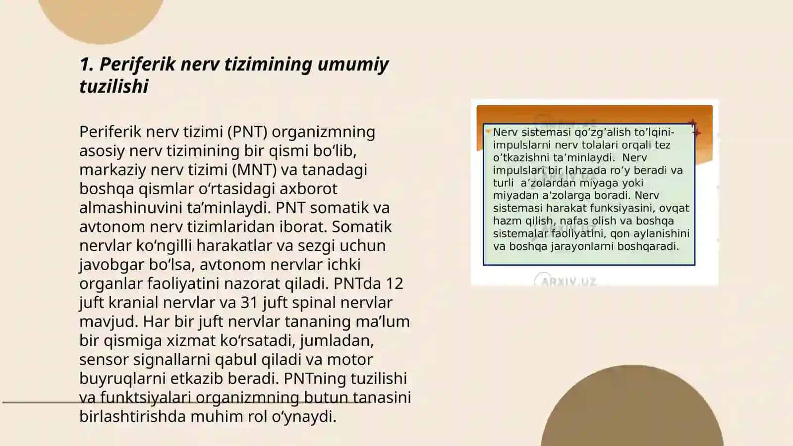 Periferik nerv tizimi funksional anatomiyasi. Orqa miya nervlarini hosil boʻlishi. Orqa miya nervlarining orqa shoxlari. Oyoq terisining inervatsiyasi 3