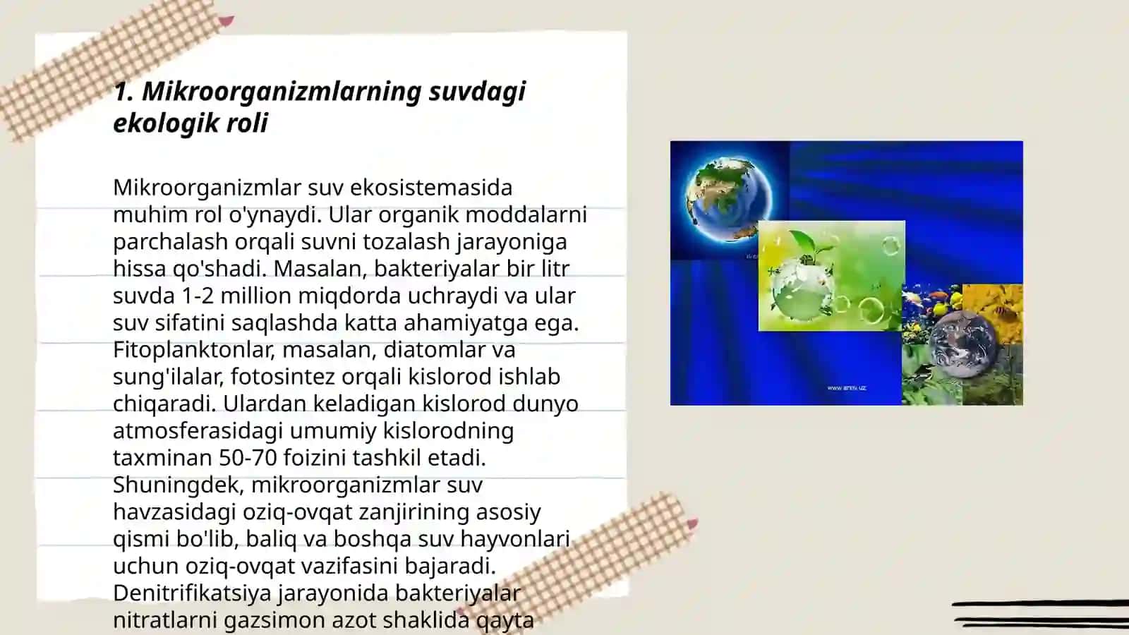 Mikroorganizmlarning ekologiyasi suv, havo, tuproq mikroflorasi 3