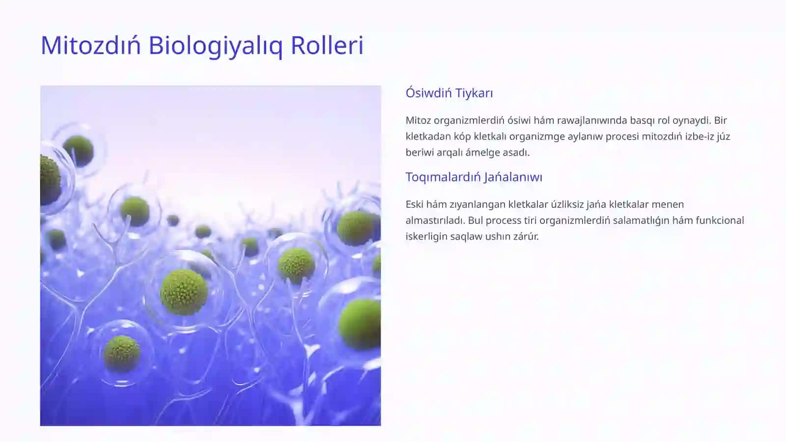 Mitoz bóliniw hám ogan tásir etiwshi genetikalıq hám ekologiyalıq faktorlar 3