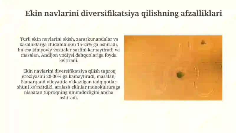 Tuproq unimdorligini oshirish va ekinlarni diversifikasiya qilish 3