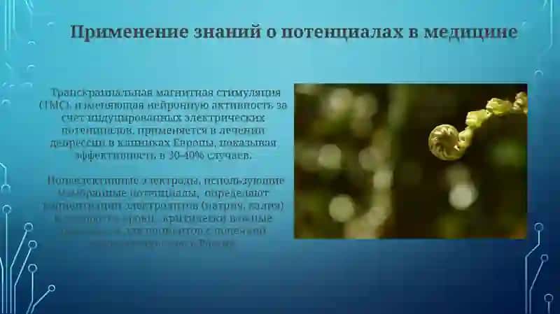 Механизм воздникновения электродного, редокс-имембранных потенциалов 3