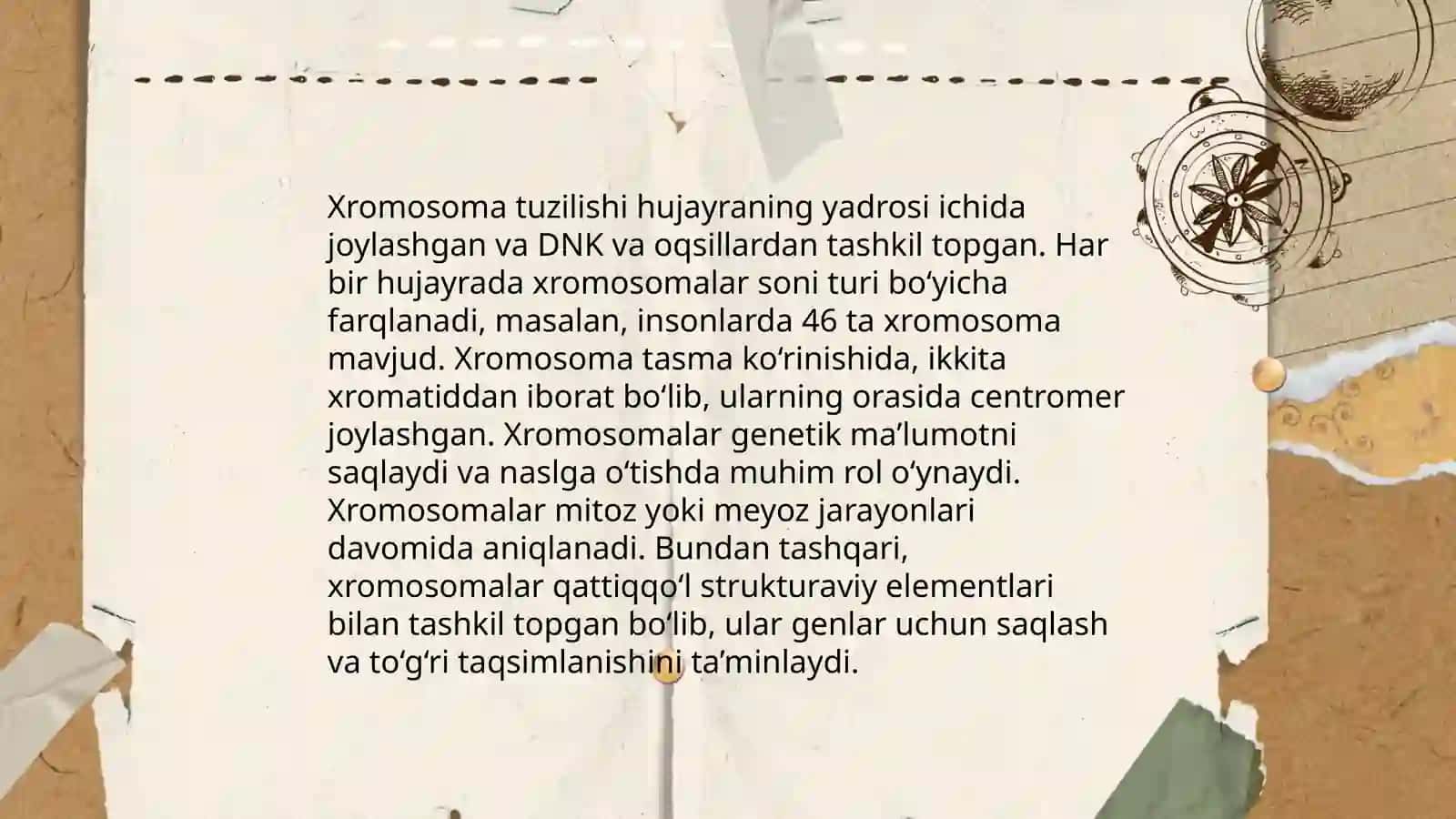Irsiyatning xromasoma nazariyasi 3
