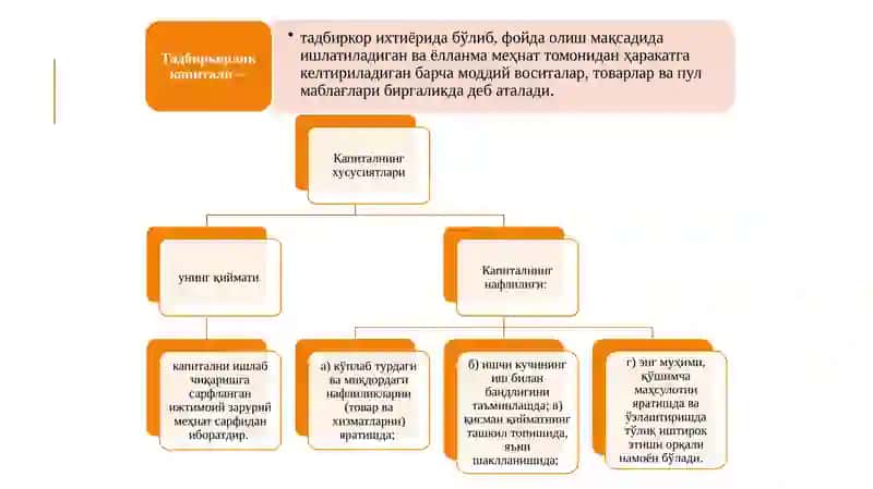 Тадбиркорлик капитали ва унинг ҳаракатидаги икки томонлама ҳусусиятлар 3