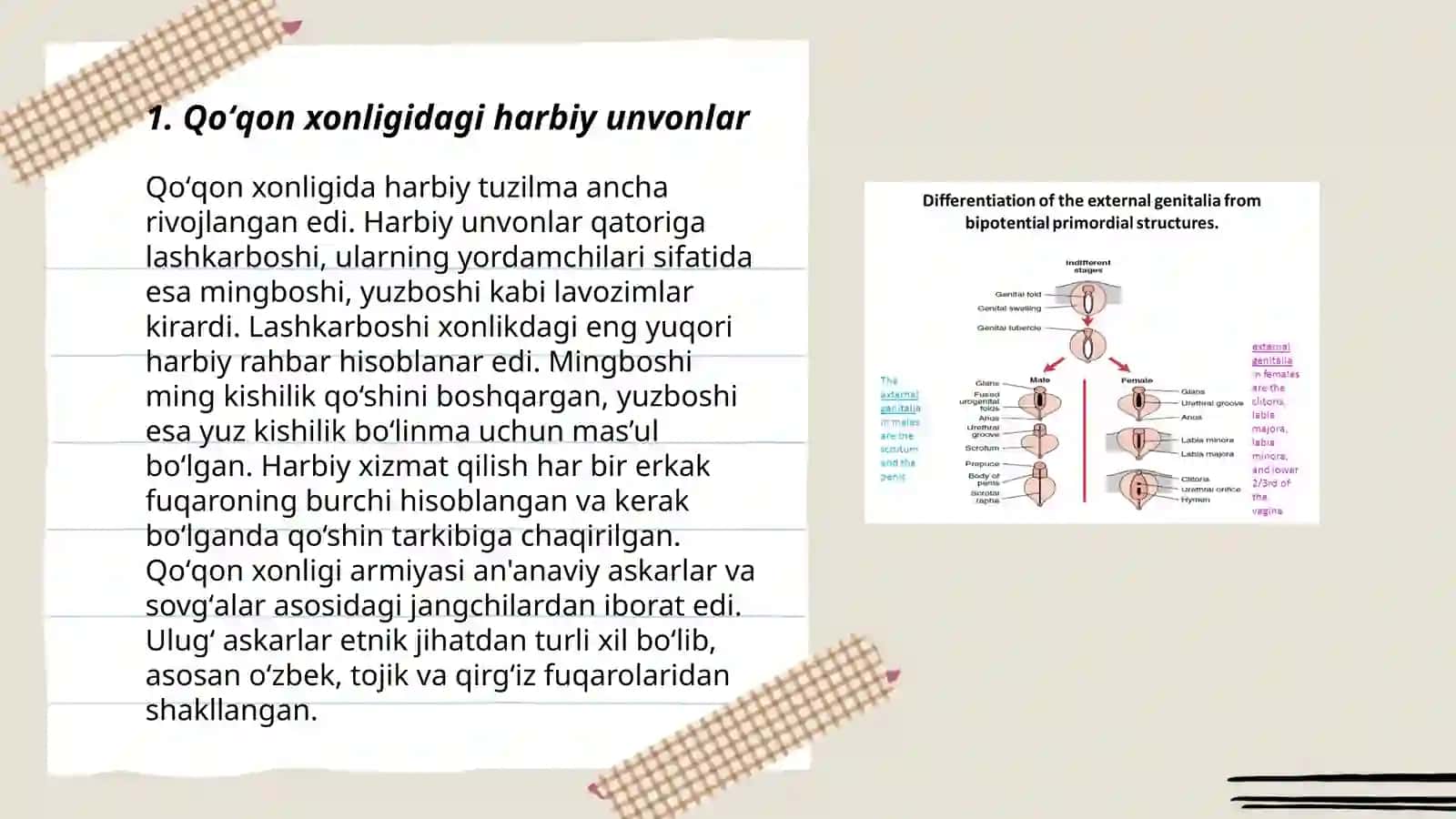Qoʻqon xonligida harbiy, maʼmuriy, diniy unvon va mansablar va ularning davlat boshqaruvidagi oʻrni Nurmurodova Sevinch 3