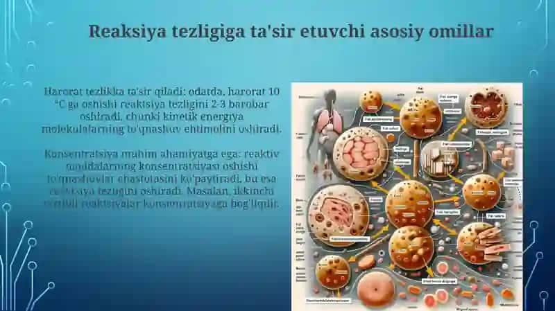 Kimyoviy va biokimyoviy jarayonlarni ta'sir etuvchi faktorlar 3