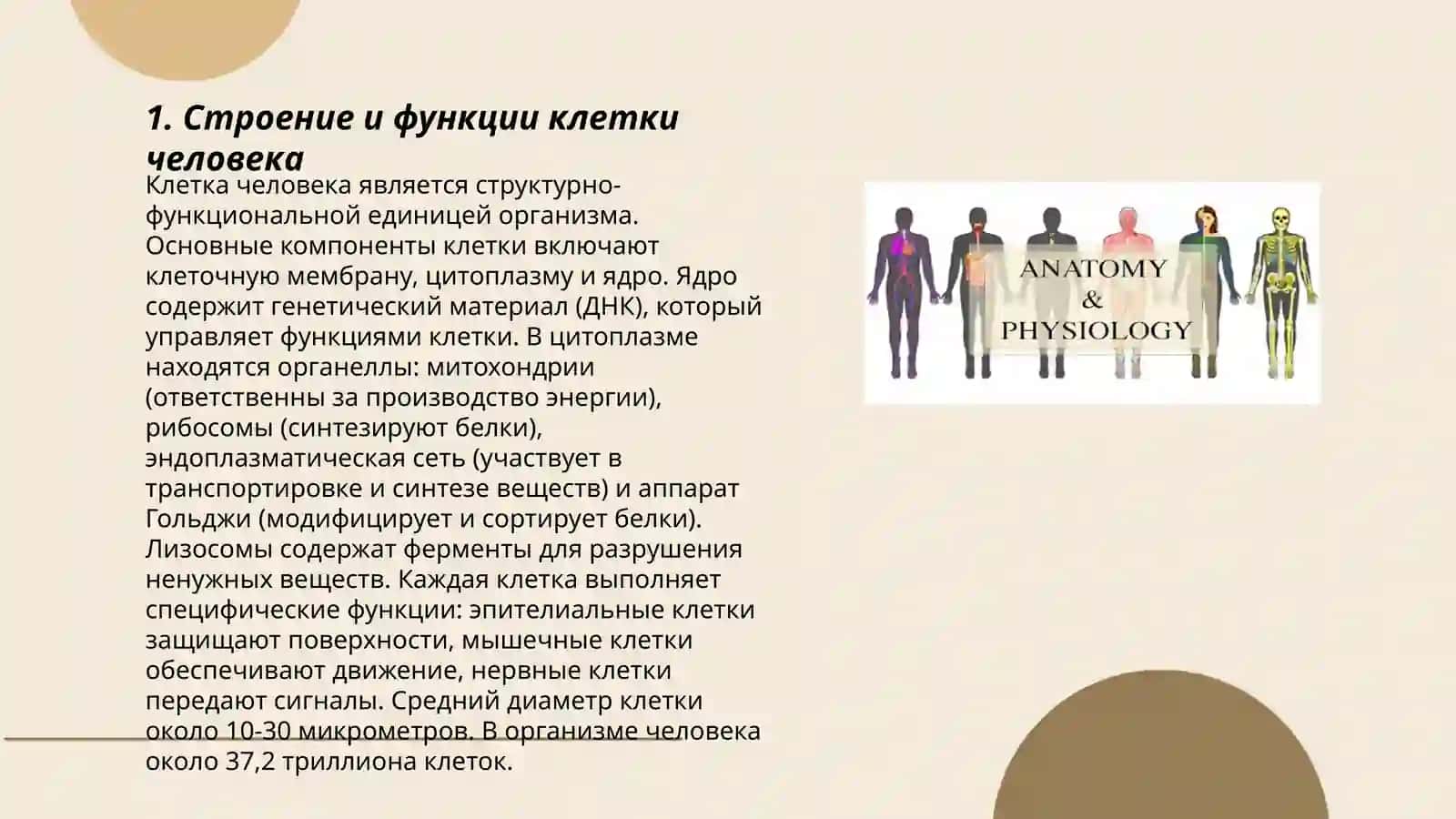 Anatomiya va inson fiziologiyasi 3