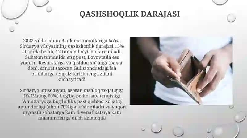 Sirdaryo viloyati iqtisodiy ko‘rsatkichlari 3