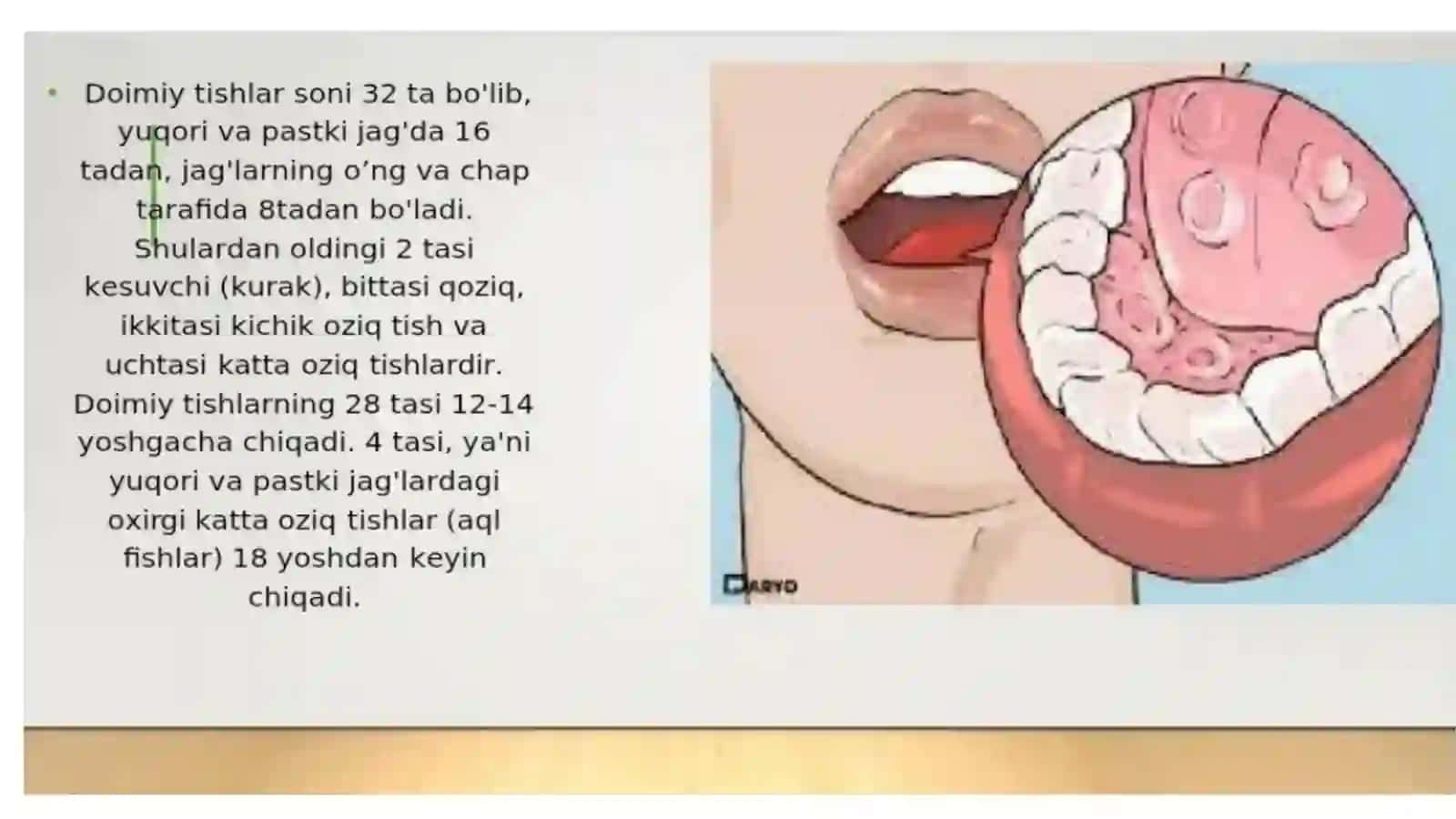 Ko'p tarmoqli tibbiyot texnikumi 3