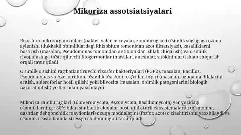 Mikroorganizmlar, oʻsimliklar munosabatlari 3
