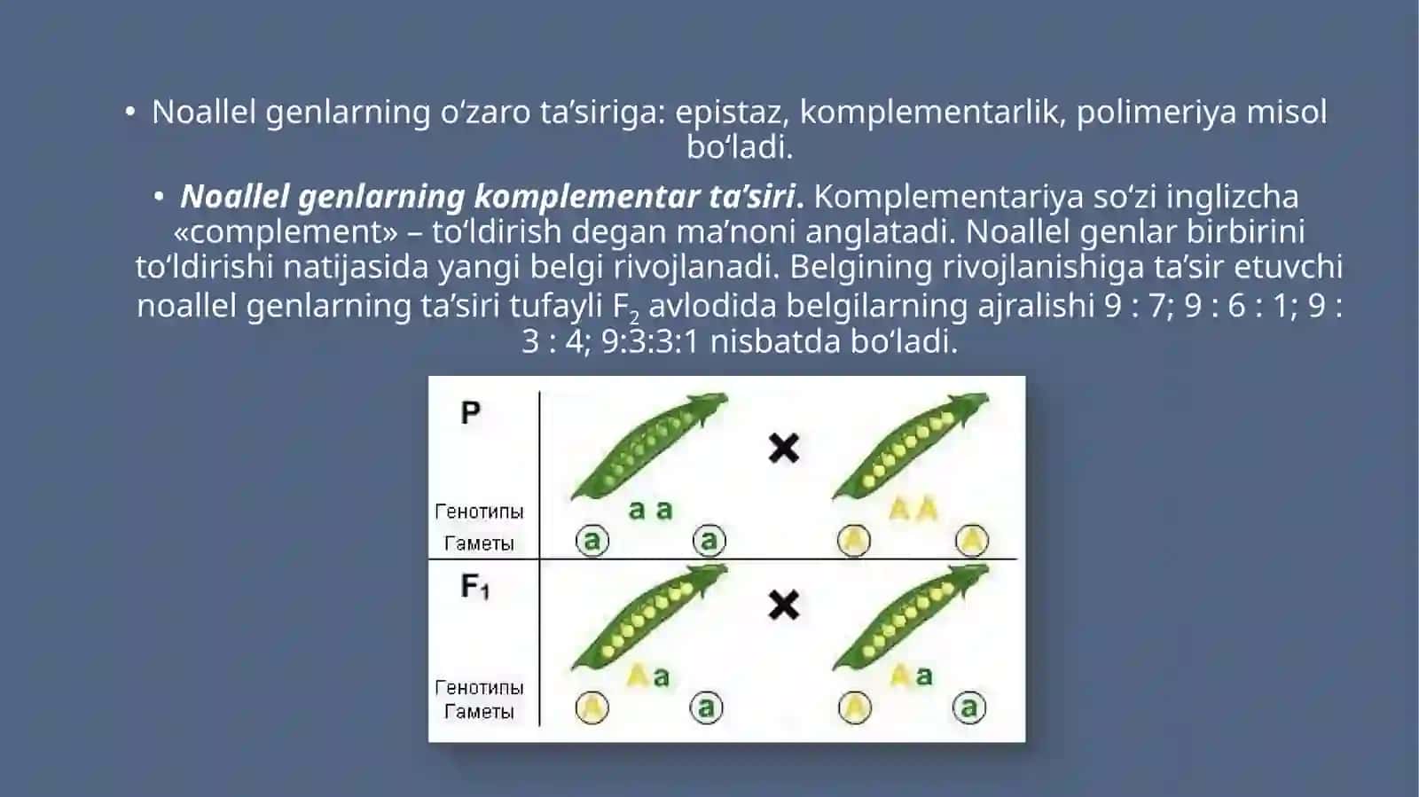 Genlarning o‘zarota’siri 3