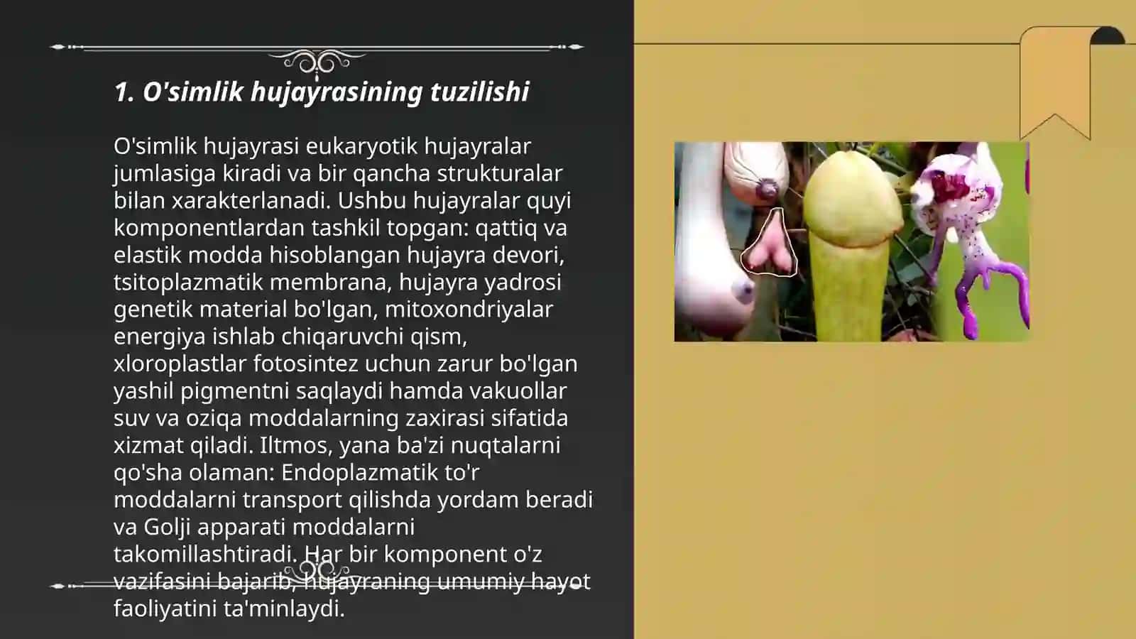 O'simlik va hayvon hujayrasining farqli va o’xshashlik belgilari 3