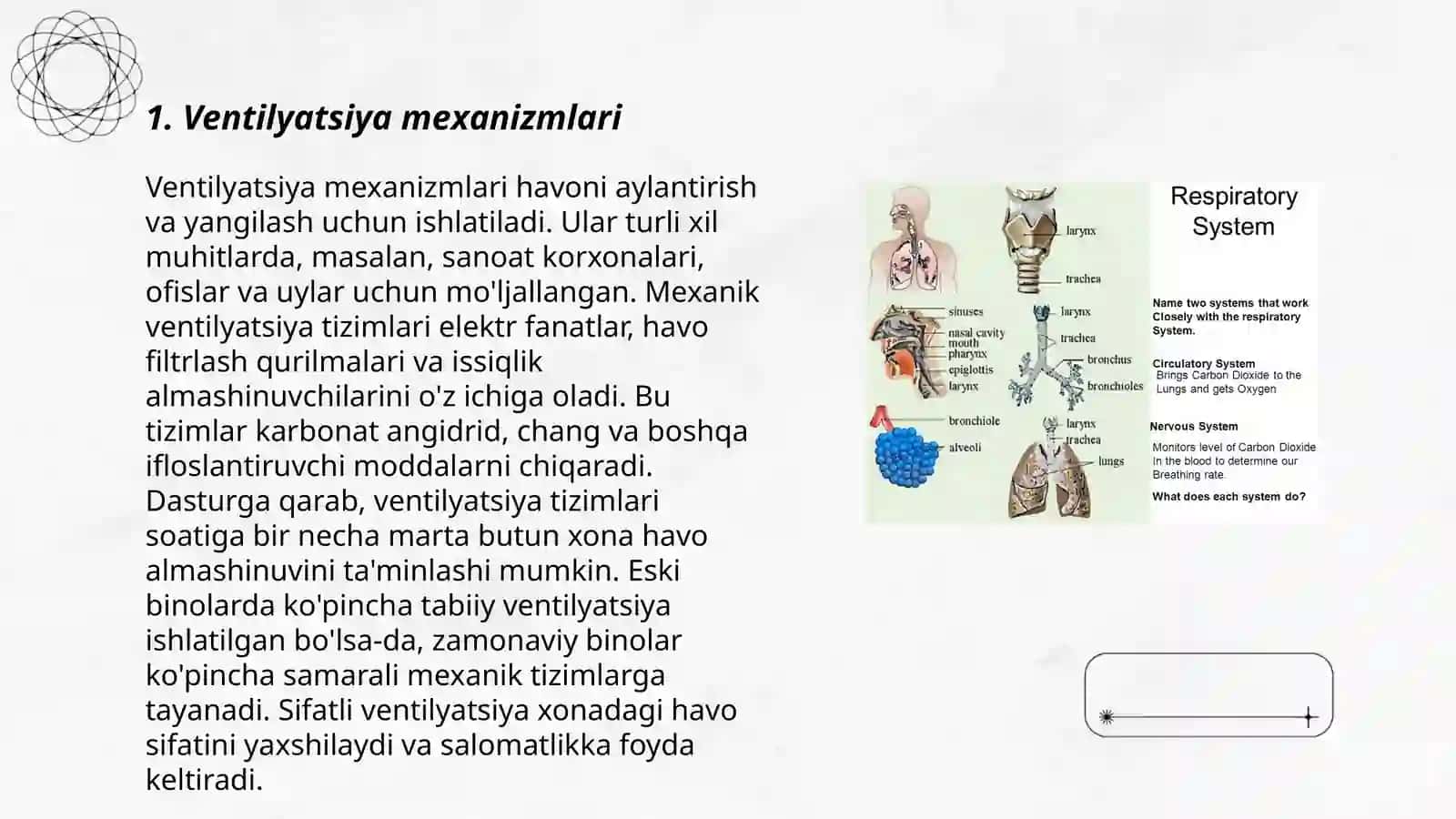 Ventilyatsiya mexanizmlari 3