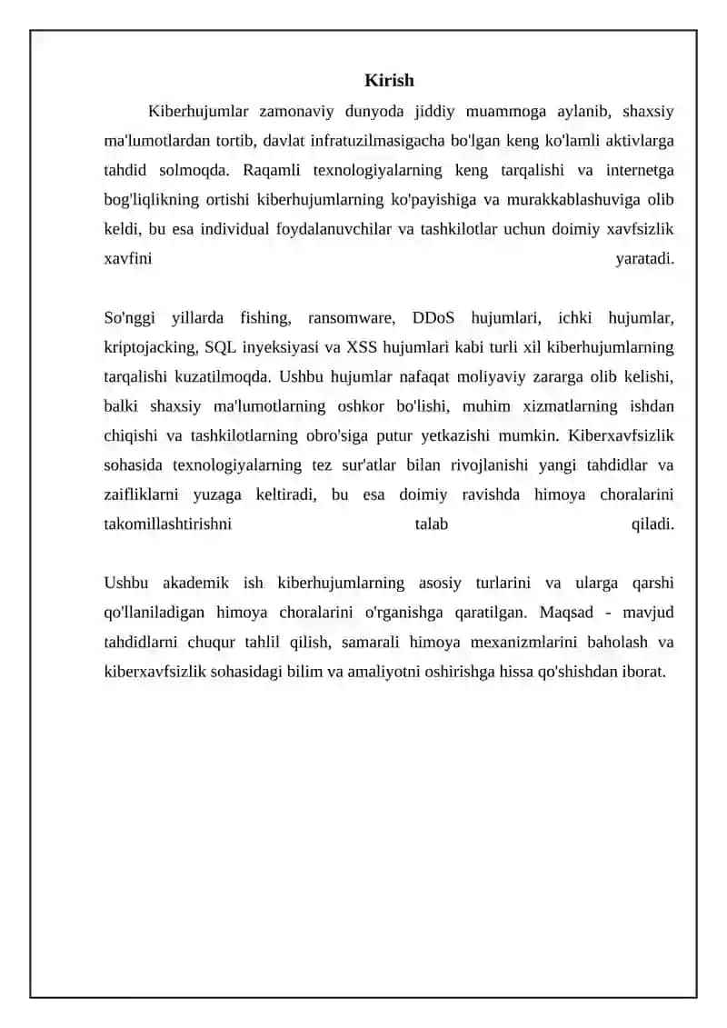 Kiberhujumlar Turlari va ularga qarshi himoya choralari 3