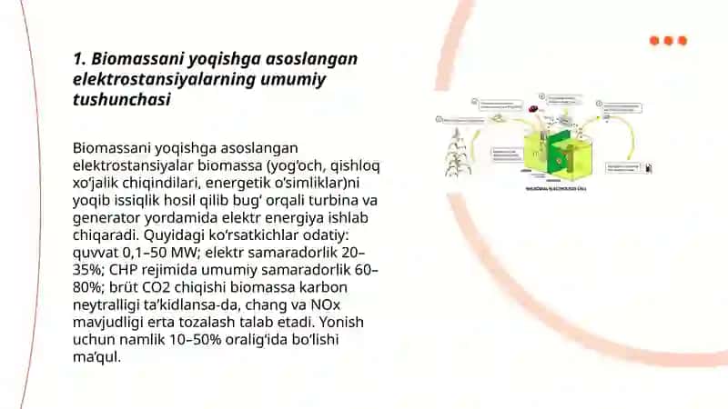 Biomassani yoqishga asoslangan elektrostansiyalar 3