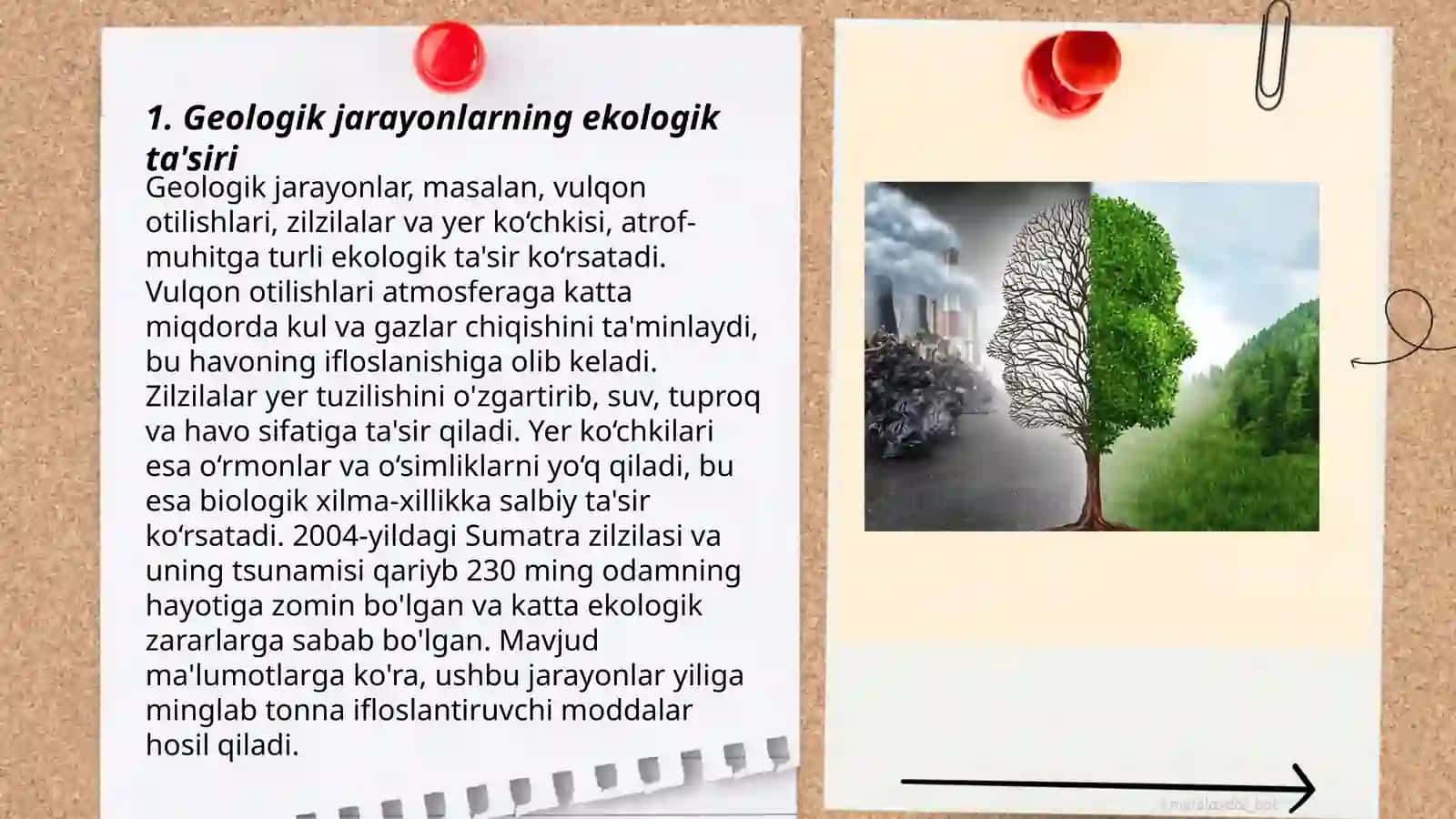 Geologiyani ekologik ekspertiza qilishning ahamiyati 3