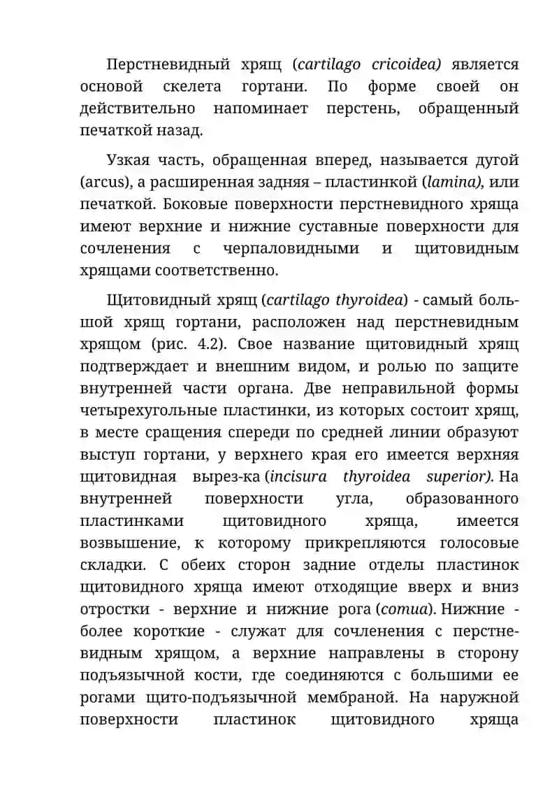 Клиническая анатомия гортани и трахеи 3