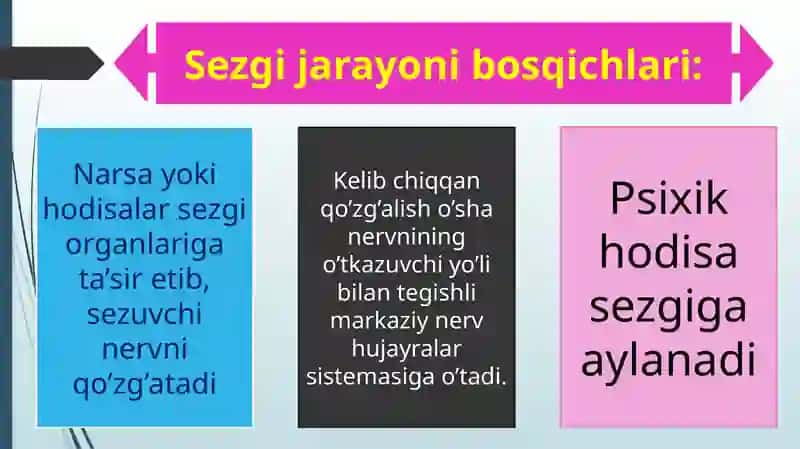 Sezgi hissiy bilish jarayoni asosi sifatida 3