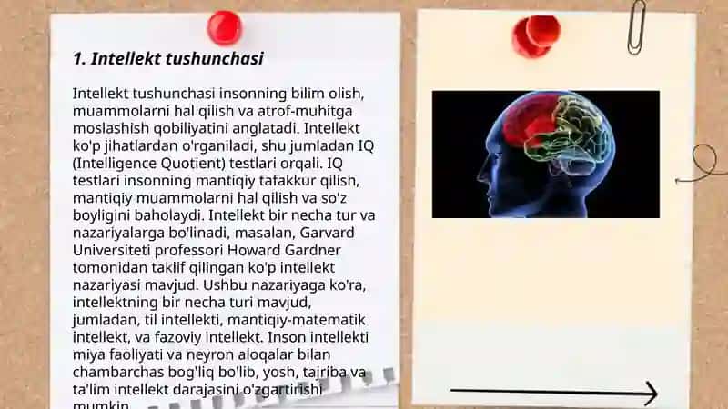 Intellekt tushunchasi va uning individual farqlari 3