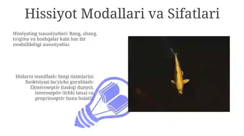 Sezgilar klassifikasyasi va sezgilarning òzgaruvchang shakillari 3