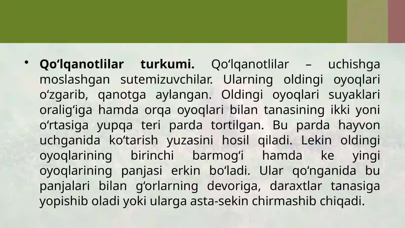 7-sinf Zoologiya 'Qo'lqanotlilar va kemiruvchilar turkumlari' ko'rgazma 3