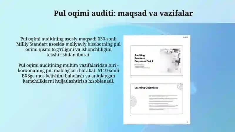 Pul Mablag'larixarakatib-nbogʻliqMuammo/Auditinitashetishvao'tkazishtartibi 3