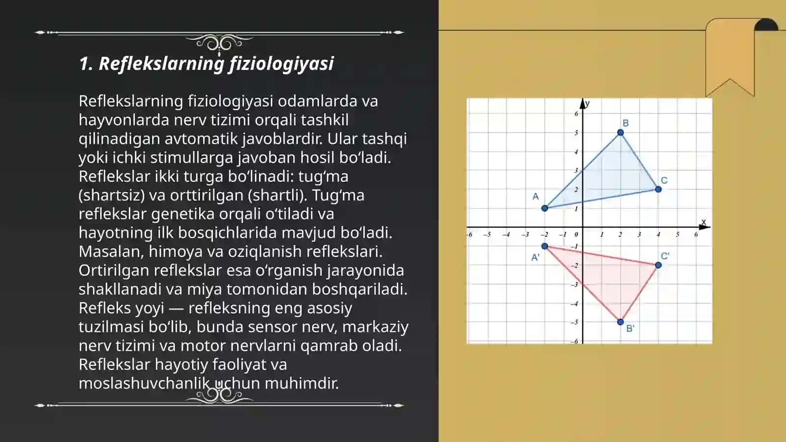 Reflekslar,orqa miya 3