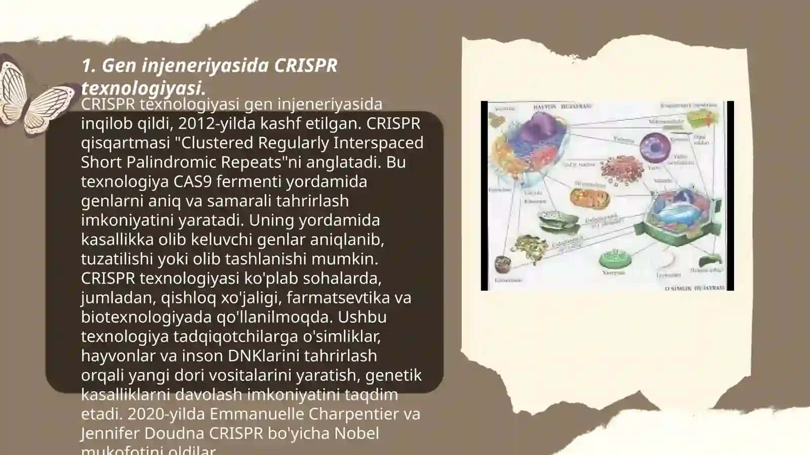Oʻsimlik va hayvon irsiyatini gen injeneriyasi usuli bilan oʻzgartirish 3