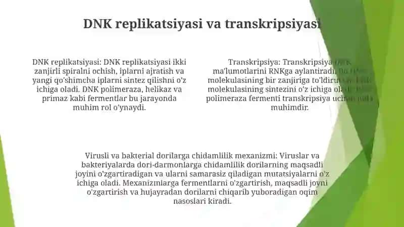 Viruslarga Va Ósmalarga Qarshi Dori Vositalarining Ta'Sir Mexanizmi Dnk Rnk Fermentlariga Nisbatan 3