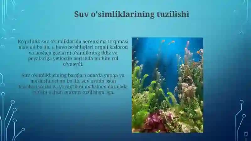 Suvoʻtlarning tuzilishi koʻpayishi vaaxamiyati 3