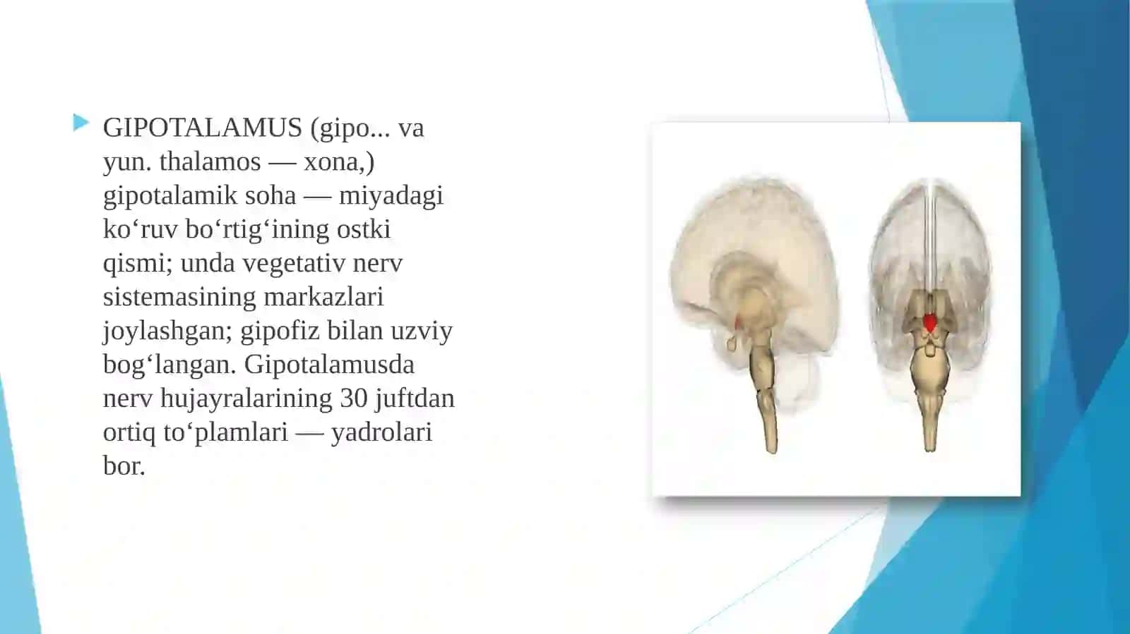 Gipotalamus o'zaklari va ularning klinik ahamiyati . 3