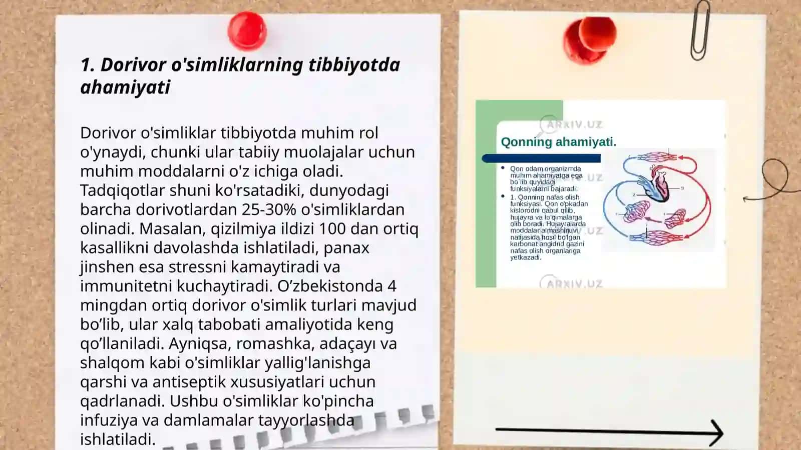 Tibbiyotda dorivor o'simliklarning qo'llanilishi 3